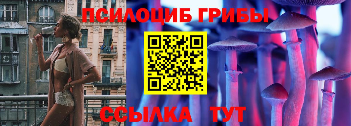 Азнакаево  Галлюциногенные грибы прущие грибы  Вход с VPN 